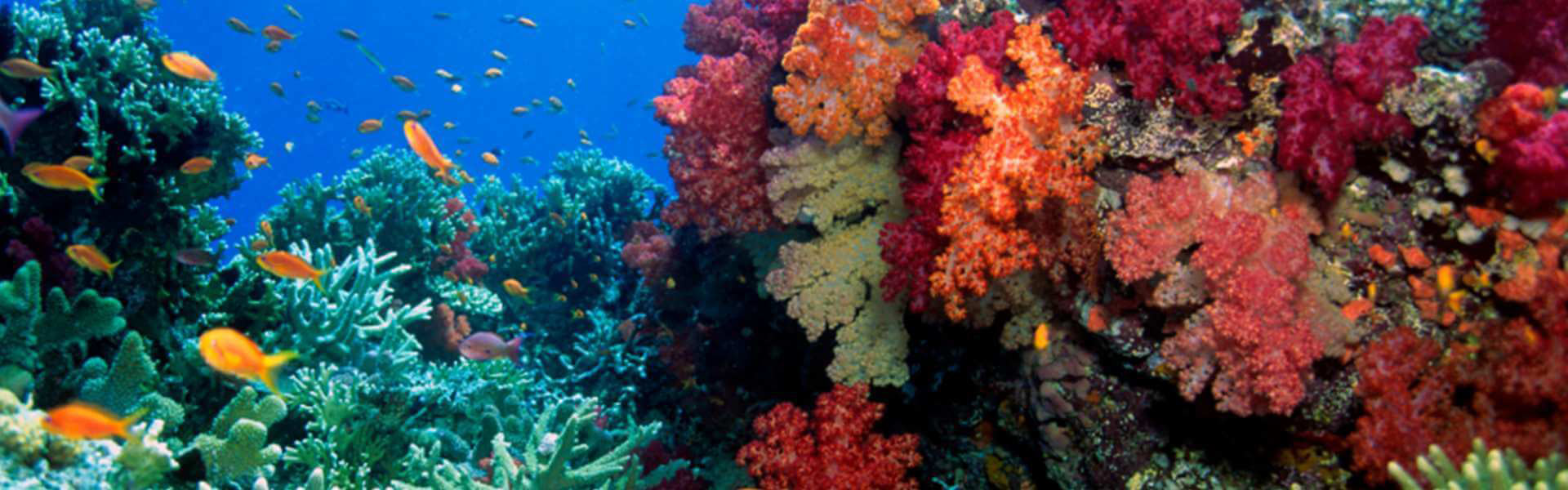 Australia destination image