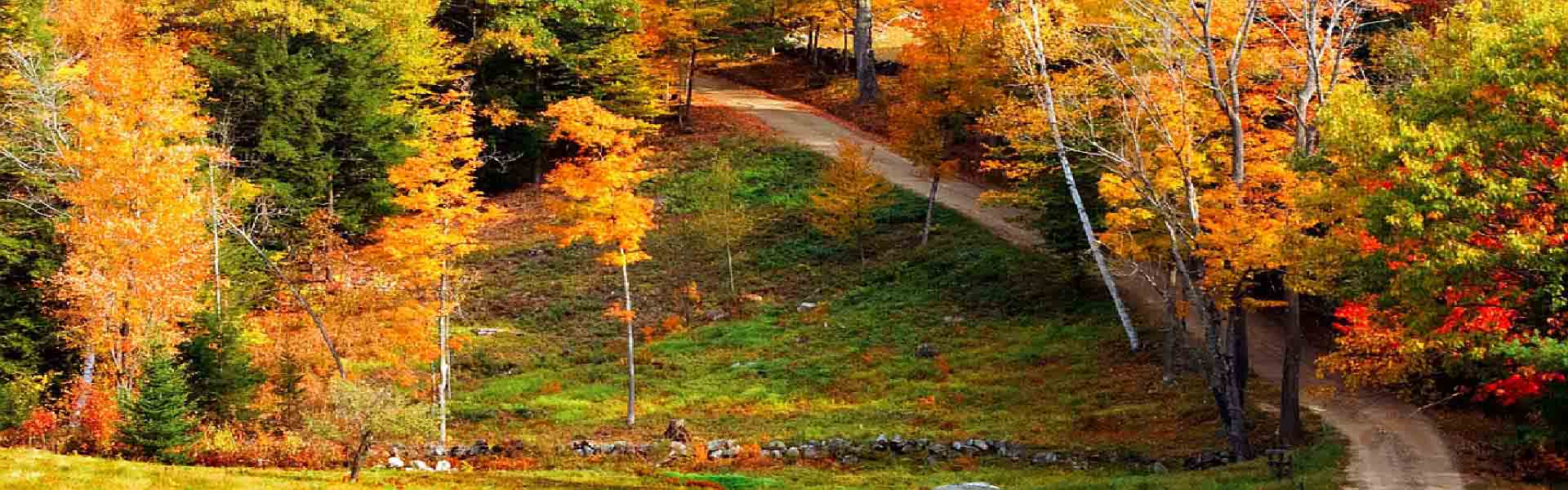 Australia destination image