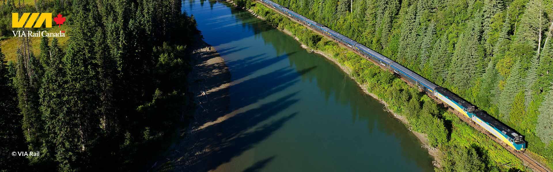 Aerial view of a train in the forest