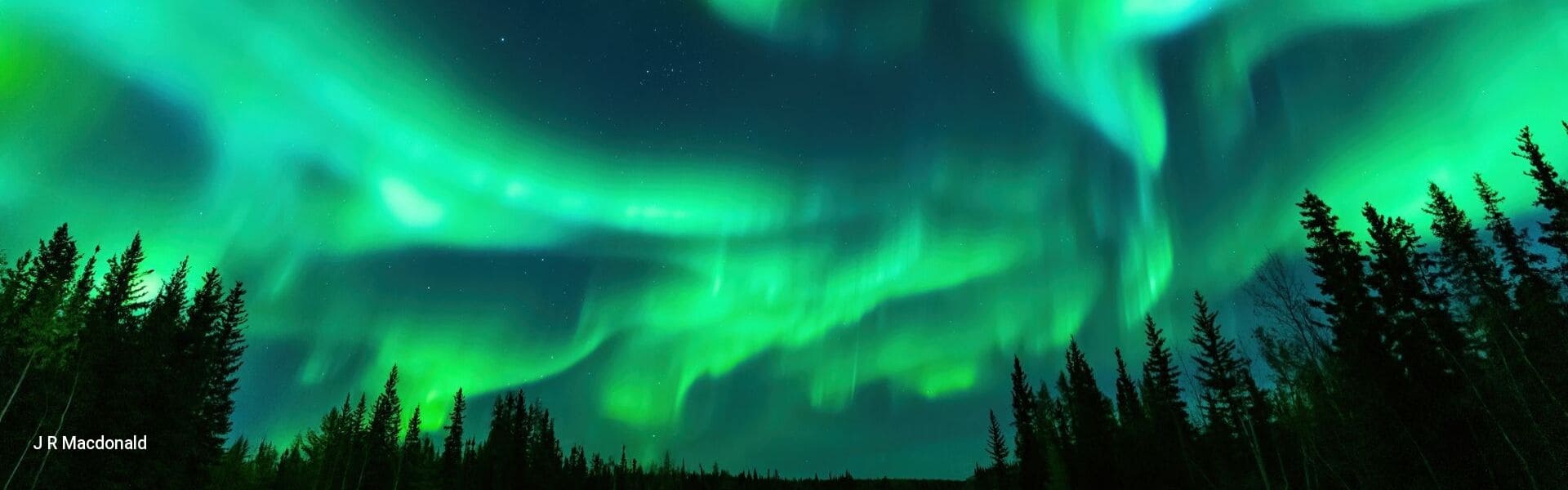 A green aurora dances across the night sky in winter