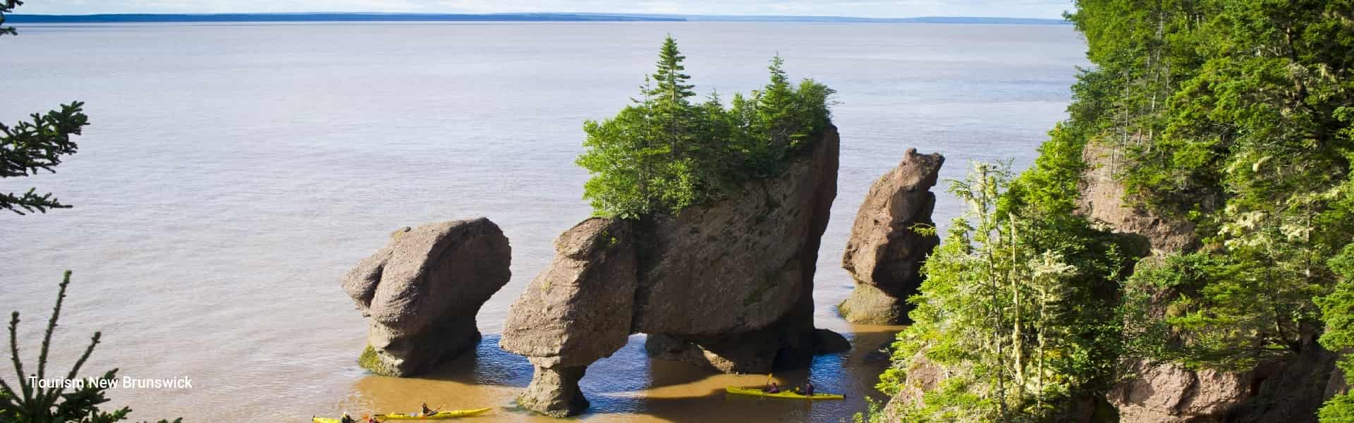 Bay Of Fundy Tour